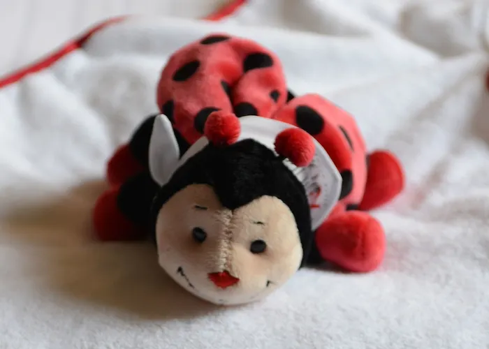 Rocco Kennedy 美因河畔法兰克福