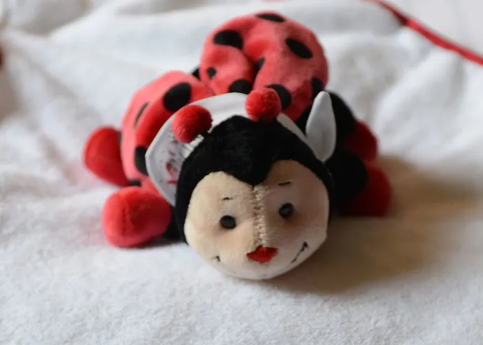 Отель Rocco Kennedy Франкфурт-на-Майне