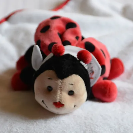 Rocco Kennedy 美因河畔法兰克福